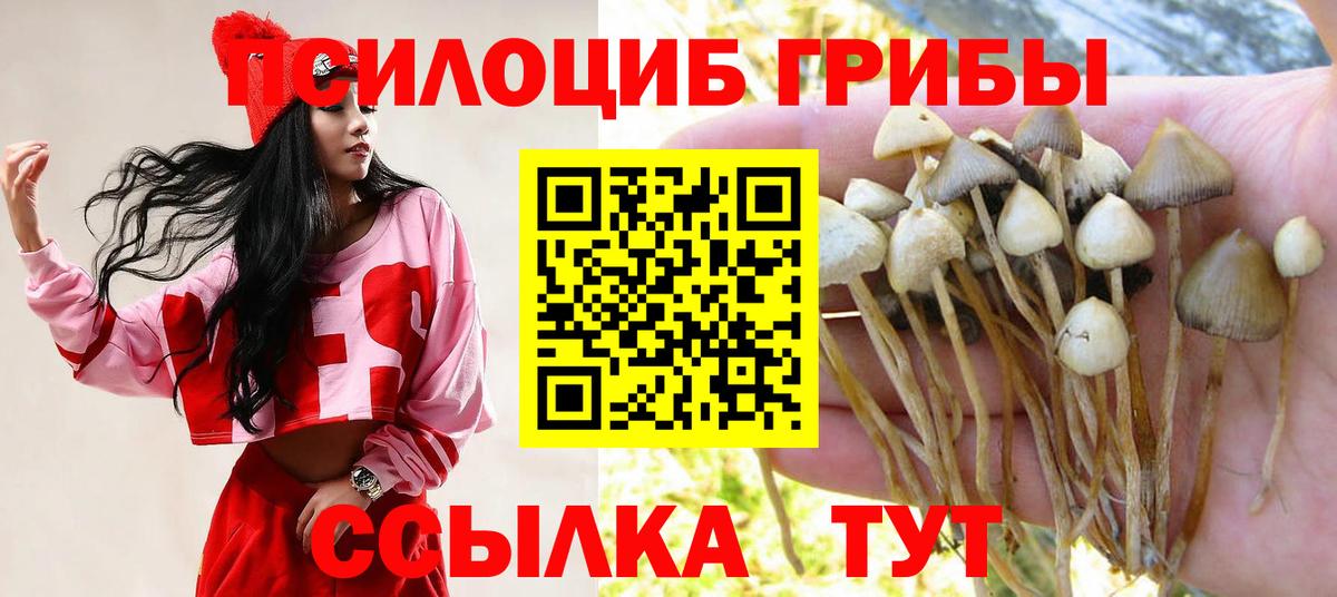Псилоцибиновые грибы ЛСД Вятские Поляны